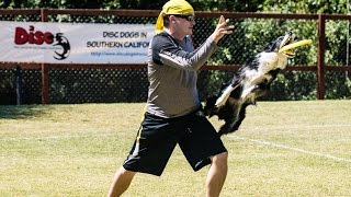 Frisbee Dog Reverse Hip Vault Trick Training