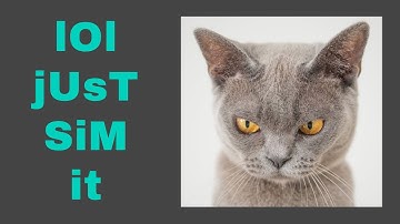 "Sim It" - A Simulation Craft Guide | World of Warcraft Shadowlands