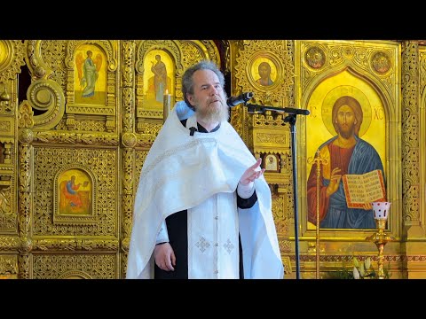 Sermon on the 11th Sunday after Pentecost | Priest Alexander Nazin | 08/24/2025