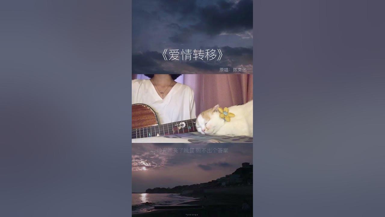 “该过去的不该过去的都过去了”#爱情转移 #治愈系 #翻唱 #原创 #CoverSong #ChineseSinger #钢琴翻唱   #华语音乐  #原创歌手