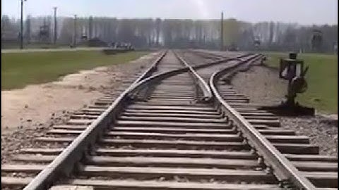 Lessons from Auschwitz