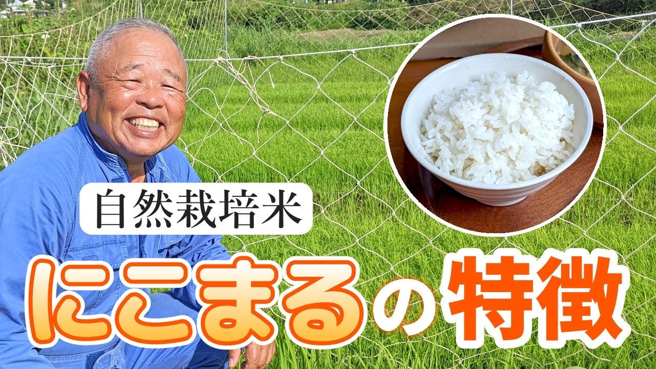 にこまる にこまるの特徴とは？｜ 植田秀幸の自然栽培米（自然栽培米専門店