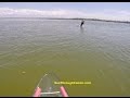 Shell Key Preserve in a See Through Canoe - Dolphin Jumping