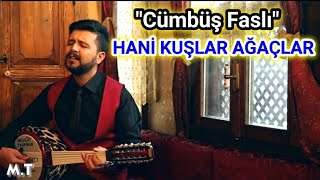 Hani Kuşlar Ağaçlar | CÜMBÜŞ FASLI - MEVLÜT TAŞPINAR Resimi