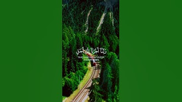 قرآن كريم تلاوة هادئة ارح سمعك #قرآن #أحسن_تلاوت_القرأن_الكريم #اكسبلور #quran #اسلاميات #المصحف