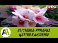 Выставка-ярмарка цветов в Бишкеке \\ 04.03.2019 \\ Апрель ТВ