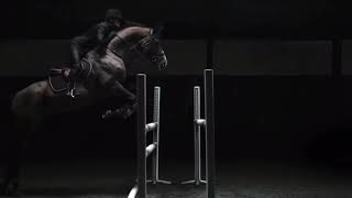Ego | Equestrian music video