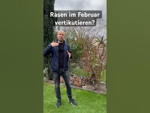 Kann ich im Februar den Rasen schon vertikutieren? vertikutieren 