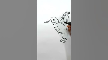 How to Draw Humming Bird Easy 🐦 Bird Drawing 🐦 Yaazhini Fine Art #shorts