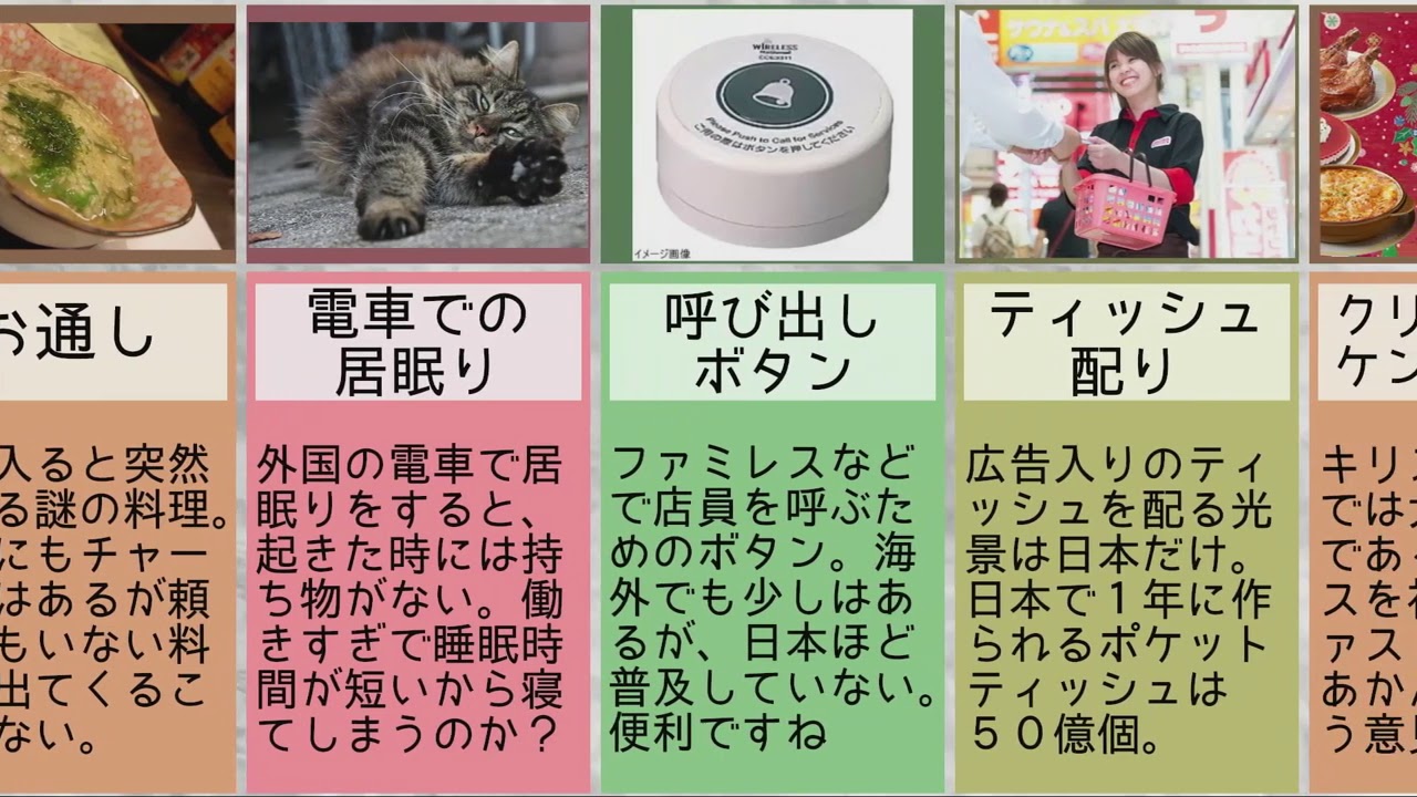 活動歴および当時の関連ビジュアル記録