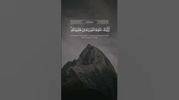 لو أنزلنا هذا القرآن على جبل لرأيته خاشعا متصدعا من خشية الله ماهر المعيقلي سورة الحشر قرآن 