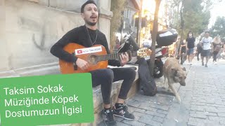 Taksim İstiklal Kum Gibi - İşte Gidiyorum Talat Akar Ahmet Kaya Kazım Koyuncu Hd Cover 