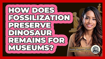 How Does Fossilization Preserve Dinosaur Remains For Museums? - Inside Museum Walls
