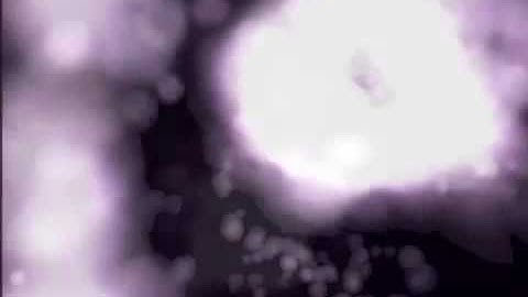 Six Axioms DVD excerpts