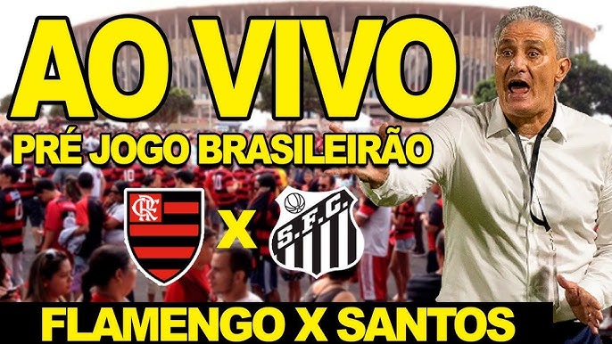 Flamengo e Santos se enfrentam hoje em Brasília pelo Brasileirão