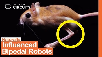 Naturally Influenced Bipedal Robots
