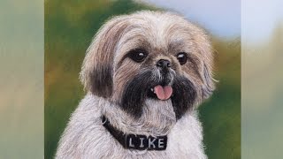 Pastel speedpaint &quot;Shih Tzu &quot;Like&quot; / Рисуем пастелью &quot;Ши-тцу &quot;Лайк&quot;