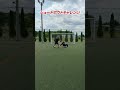 football skill #サッカー #soccer