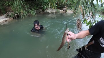 #108. Nướng Cá Bên Dòng Suối, Phiêu Lưu Trong Rừng, Cuộc Sống Tự Nhiên