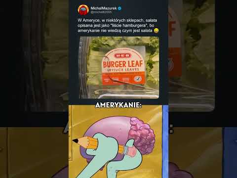 😅 Czym Są Hamburgerowe Liście?