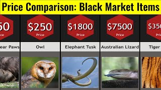 Price Comparison: Black Market Items
