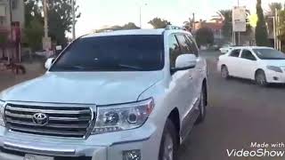 عشرة ونسه - لقاء مع محمد الريان | محمد مصطفى البرنس