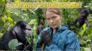 We got KNOCKED OUT on our Gorilla Trek in Uganda!