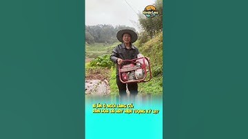 BÍ ẨN Ở NGÔI LÀNG CỔ: RẮN HÓA ĐÁ HAY HIỆN TƯỢNG KỲ LẠ? #oklt #ongkinhlangthang #wanderlens #shorts