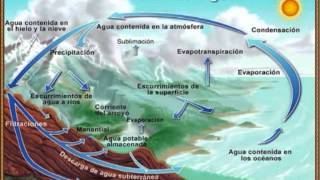 desarrollo sustentable - ciclos biogeoquimicos