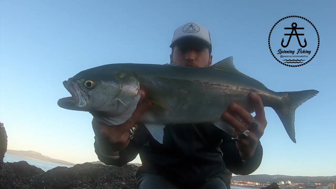 ANJOVA a SPINNING en la ISLA (TARIFA)