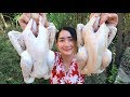 Yummy Frying Native Chicken Cooking - Chicken Frying Recipe - Cooking With Sros