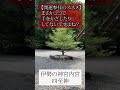 【神社参拝のNG】伊勢神宮開運参拝 #shorts
