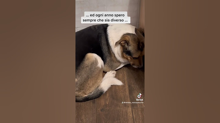 Effetti dei fuochi d'aritificio sugli animali 😡 #fuochidartificio #botti #capodanno #dogs #animali