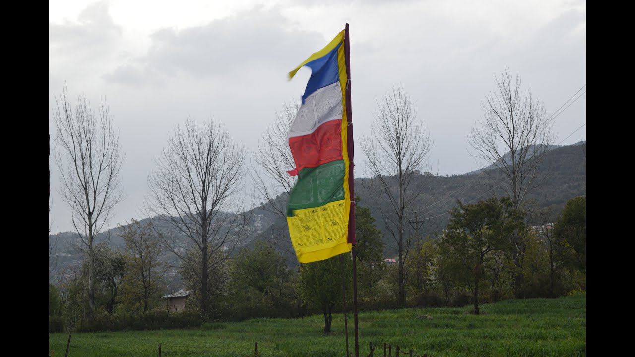 Rice vs Wheat- Digestion related facts