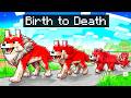 BIRTH TO DEATH of a PET in Minecraft!