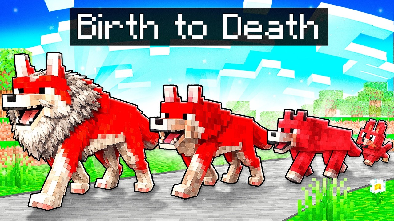 От рождения до смерти питомца в Minecraft!