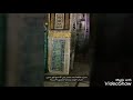 داود شعبان