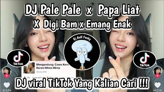 DJ PALE PALE X PAPA LIAT X DIGI BAM X EMANG ENAK || DJ VIRAL TIKTOK YG KALIAN CARI‼️