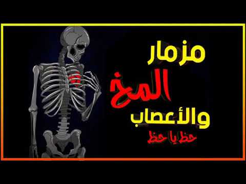 مزمار عبد السلام 2020اشترك يا معلم 