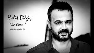 HALIT BILGIC:Le Cane Resimi