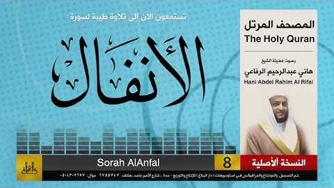 8 | سورة الأنفال | هاني الرفاعي | hani alrefai