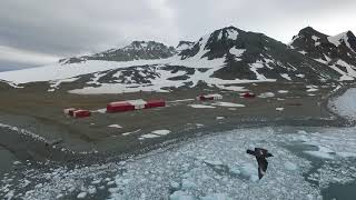 Día de la Antártida Argentina