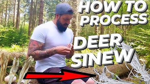 How to process deer sinew