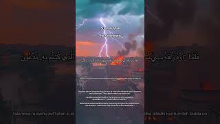 ❤️จำวันละนิด❤️  Surah Al-Mulk "The Sovereignty”❤️verse 27-28❤️#surah #alqalam #muslim #islam #quran