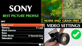 Sony a6400 Slog2-Slog3-HLG And More Picture Profile Expose Settings For Noise And Grins free Footege