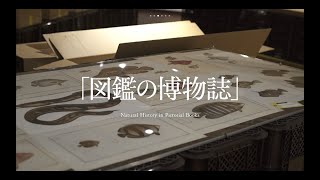 【荒俣館長解説篇：03 図鑑の博物誌 】 「荒俣宏の大大マンガラクタ館」展