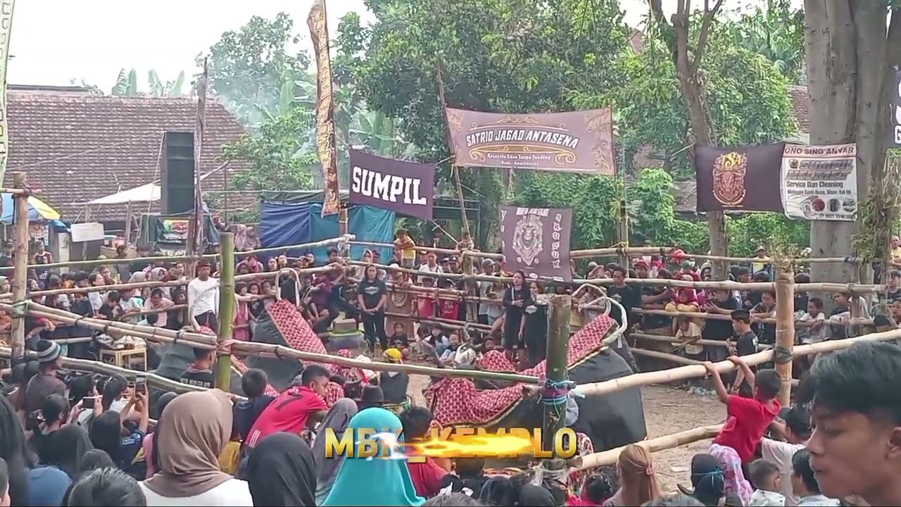 KEMBANGAN GAYENG MAHESO JAGAD SEDJATI LIVE SUMPIL GG 7B MAKAM MALANG