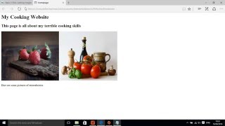 Website 3   Paragraphs and images
