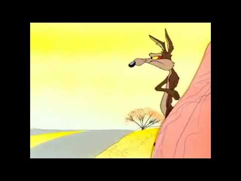 Genius Fail Wile E Coyote
