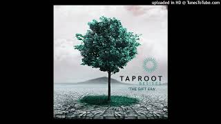 Watch Taproot Thriftwhore video